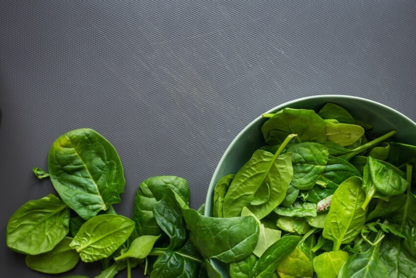 green leaves on white ceramic bowl spinach