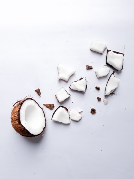 white and brown wooden round coconut