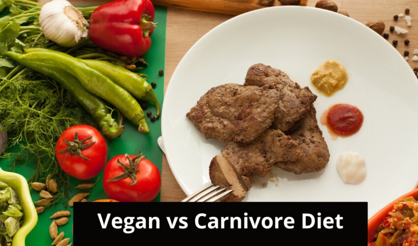 carnivore vs vegan diet foods 1 1