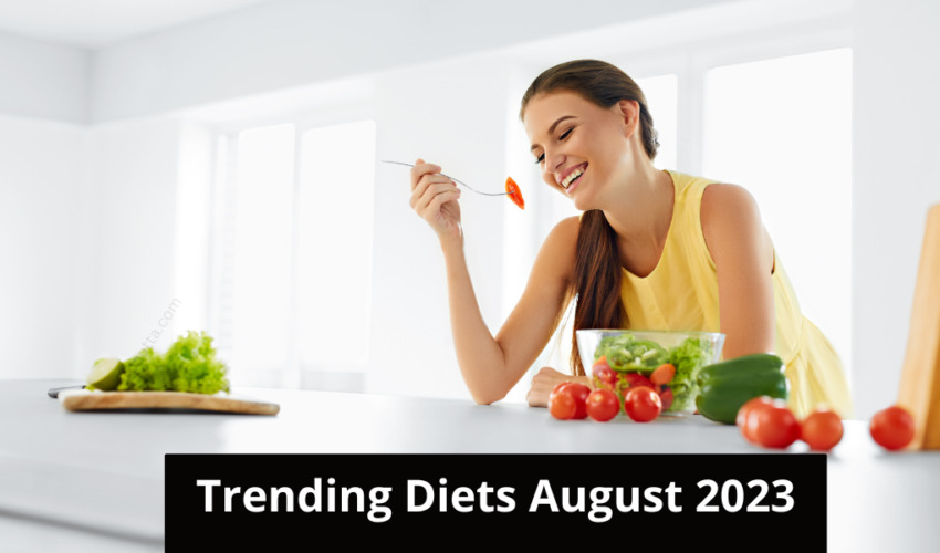 Which Diet Is The MOST Popular Lets Compare August 2023