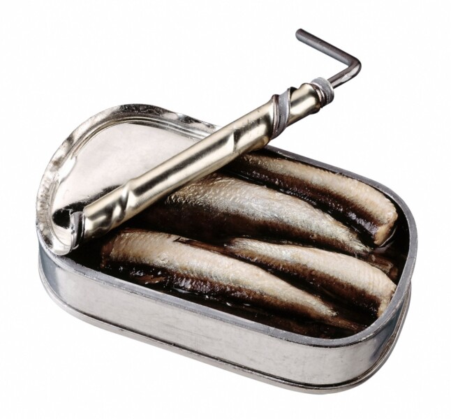 sardines canned
