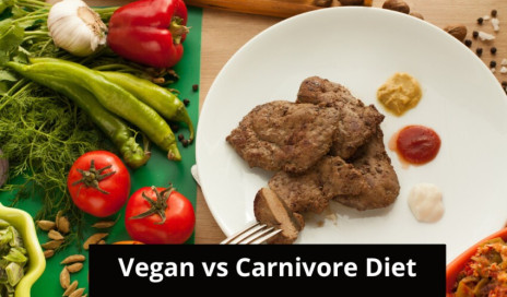 The Carnivore Diet Vs Vegan Diet: Which One Is More Popular?