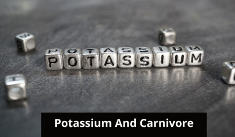 How to Get The Potassium You Want On A Carnivore Diet (Recommended)
